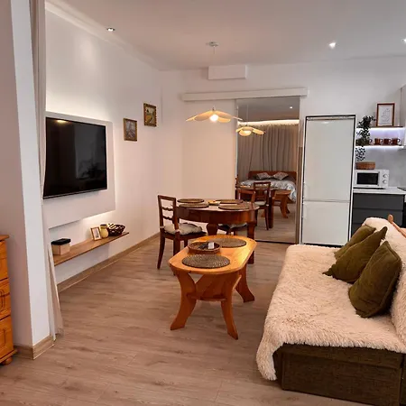 Mieszkanie Bez Barier, Przytulnosc Na Kazdym Kroku Apartment Myslenice